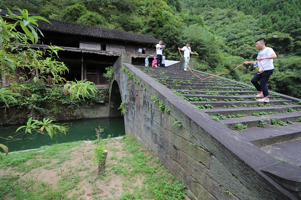 罗家桥.JPG 罗家桥.JPG